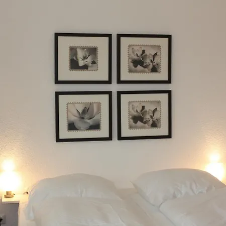 Szálloda Rheinischer Hof 3*