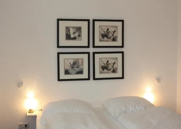 호텔 Rheinischer Hof 3*